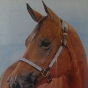 Meet your Posher, Tere